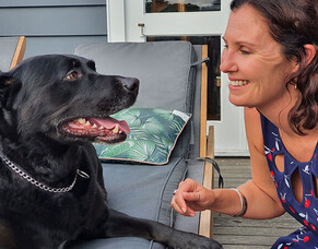 Venture Centre supports entrepreneurship in WBOP