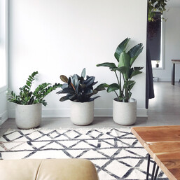 Project Delivery | Cardwell Inc Interior Design Auckland