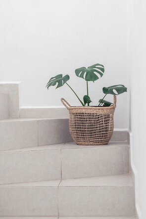 Cardwell Inc. Interior Design