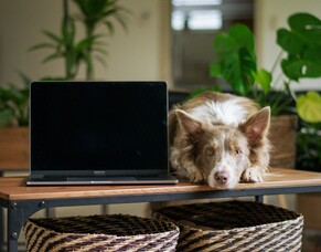 Pilates Online can be made for you and your needs