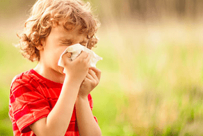 Hayfever