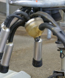 Milk Solids - 3,469,000 Kgs