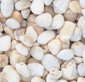 CREAMS & WHITES - Pavolva with Cream