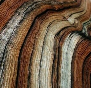 Browns - Earthy & Mellow