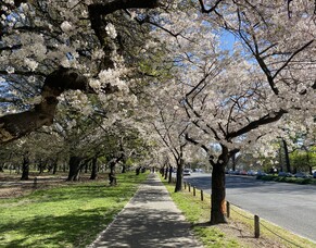 Term 3 Newsletter 2023 to Kura