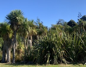 Term 1 2022 Newsletter to Kura