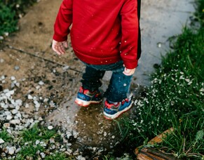 Term 3 Newsletter 2020