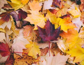 Term 2 email to principals