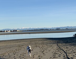 Term 2 2022 Newsletter to Kura