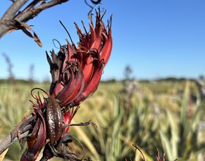 Term 1 2025 Newsletter