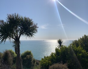 Term 4 2022 Newsletter to Kura