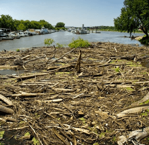 UDL - By Ann Edmundson & Lisa Webber (RTLB34)