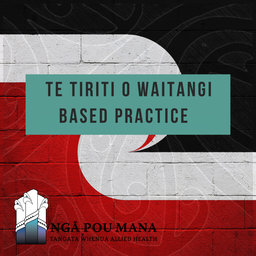 Nga Pou Mana | Tangata Whenua Social Workers Association