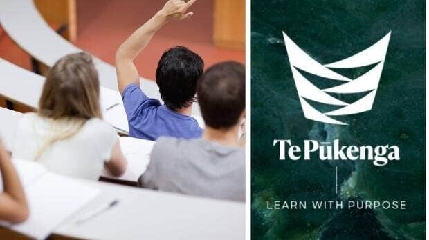 Te Pūkenga cuts $8 million | Tangata Whenua Social Workers Association