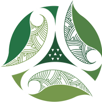 Tangata Whenua Social Workers Association