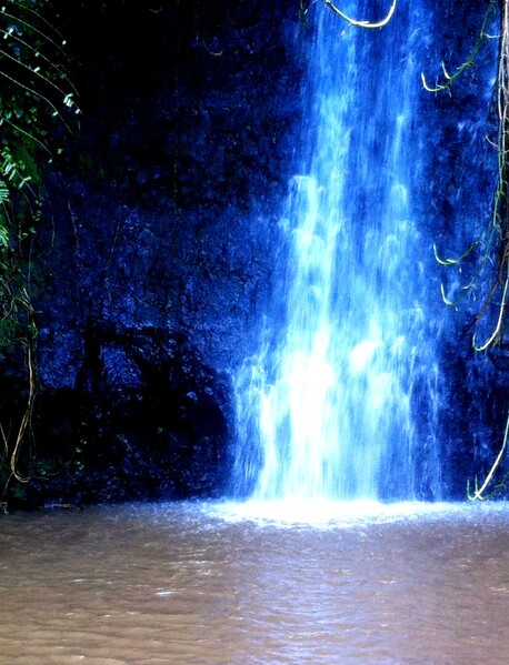 Luminous Water Undines revealing themselves in Tahiti