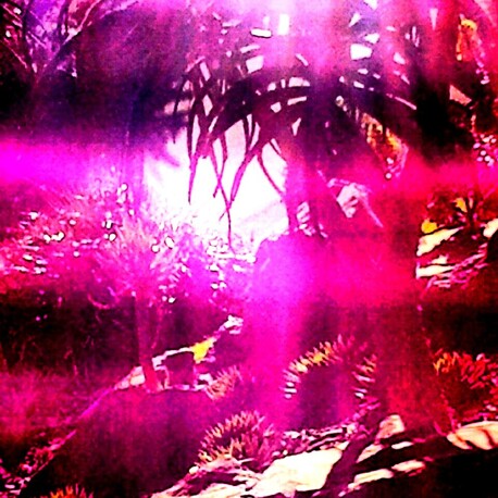 Heart Balance & Healing Light