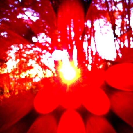 Winged Buddha of Light