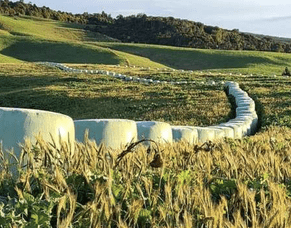 Thriving Southland &lsquo;the difference that makes a difference&rsquo; &mdash; New Report