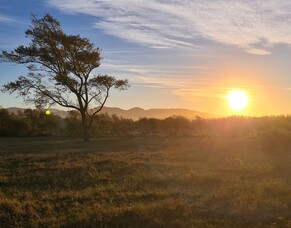 July 2025 Thriving Southland Newsletter