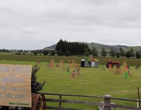 Southland Catchment Group Christmas Competition lighting up the region