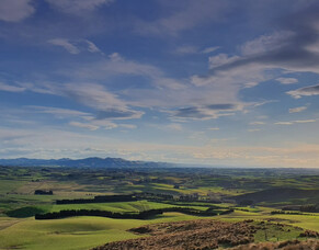 November 2025 Thriving Southland Newsletter