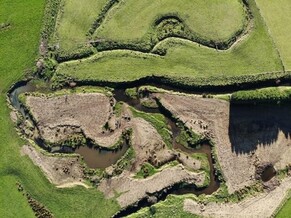 August 2025 Thriving Southland Newsletter