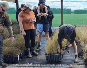 Thriving Southland marks five years of environmental effort