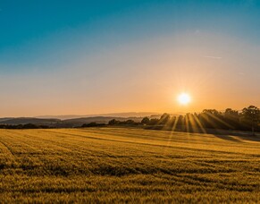 May 2025 Thriving Southland Newsletter