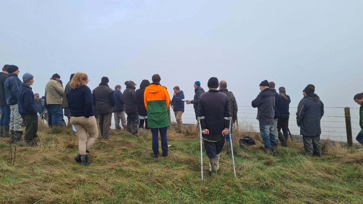 Waikaka Stream cg Thriving Southland