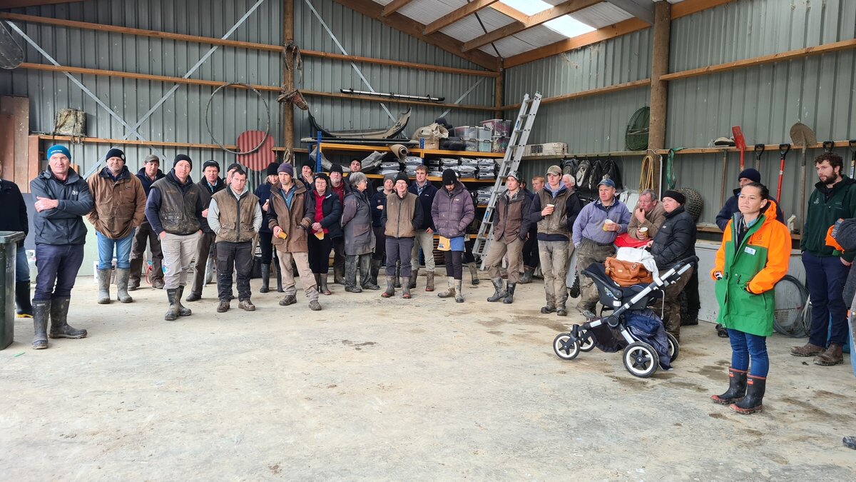 Waikaka Stream cg Thriving Southland