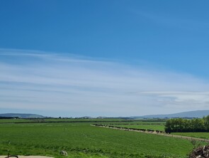 Case Study 2 - Lower Aparima Catchment GroupDairy Low land flats