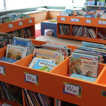 Sport at Renwick School