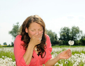How to Prevent Seasonal Allergies