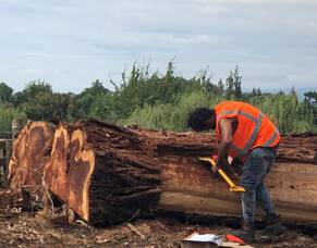 Nothing Goes to Waste!