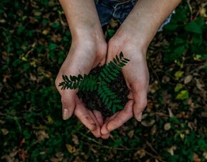 World Environment &amp; Arbor Day - 5th June
