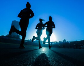 Bee Pollen and Sports Nutrition