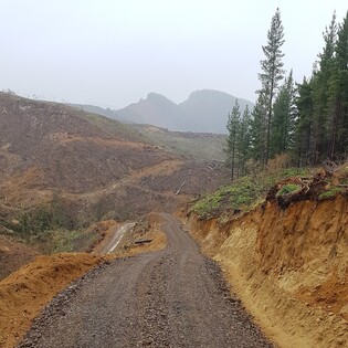 Hawke's Bay Forest Roading, Maintaining a track in a Hastings Forest in Hawke's Bay, metalling a road in Hastings, Shingle onto road in Hastings, Earthmoving in a Hastings Forest