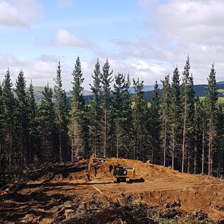Earthmoving in Hastings, Skid site development in Hawke's Bay, Forestry Services in Hawke's Bay, Hastings Forestry Service for skid sites, maintenance of a skid site in Hawke's Bay