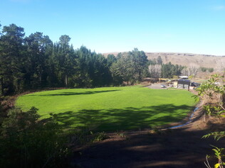 landscaping and earth pile clearing, quality site development in Hawke's Bay