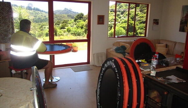 History of the True New Zealand Lymphacisers