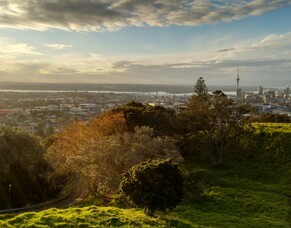 Auckland's Best Kept Health Secret