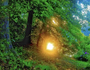 What is Harmonic Energising?