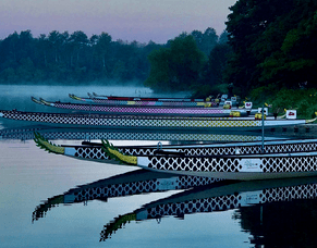 Paddle Design Contest