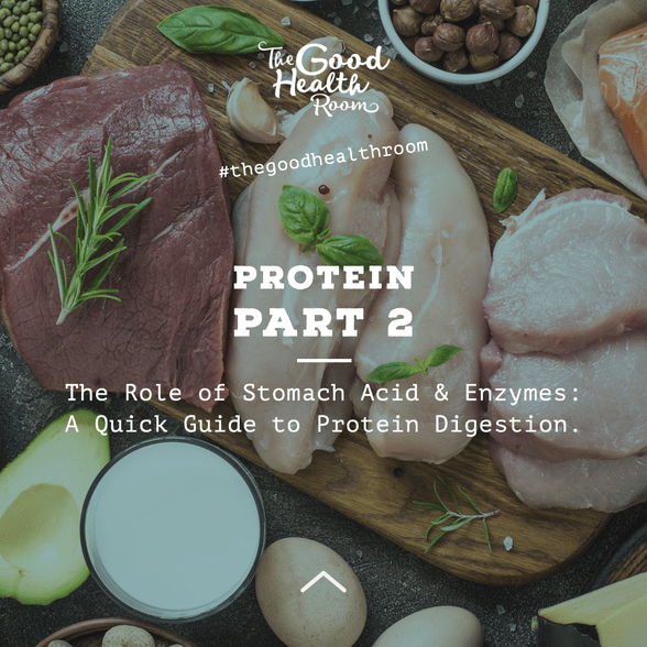 The Role of Stomach Acid & Enzymes A Quick Guide to Protein Digestion
