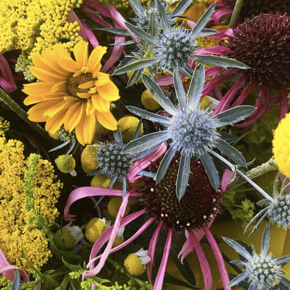 Gravel Road Farmyard