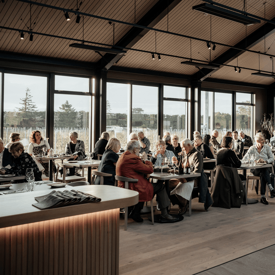 THE RUNHOLDER MARTINBOROUGH