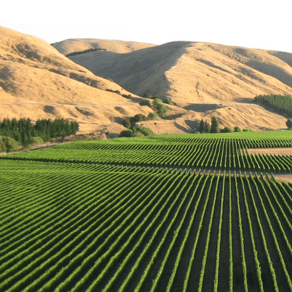 Discover Te Muna Valley