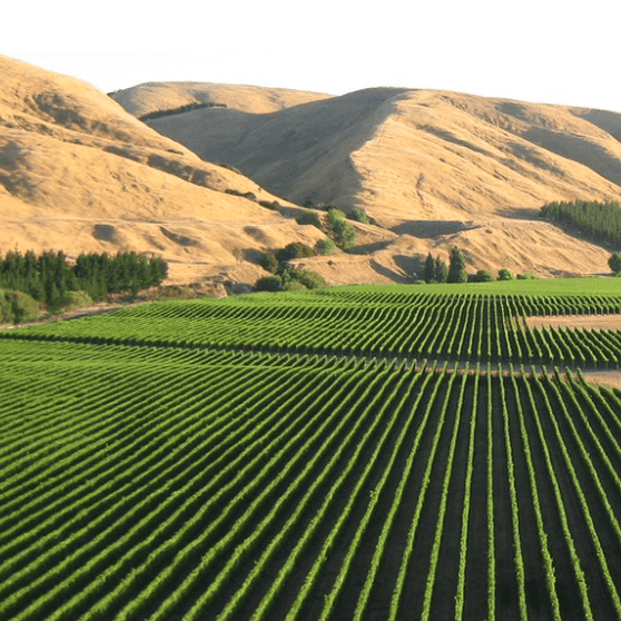 Discover Te Muna Valley