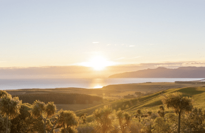 Discover Wairarapa Property Management